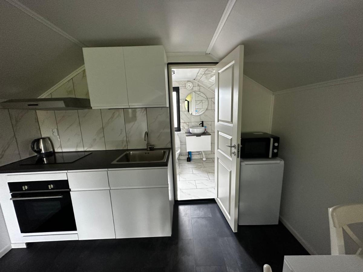 Luxurious Apartment Near Citycenter ボロース エクステリア 写真