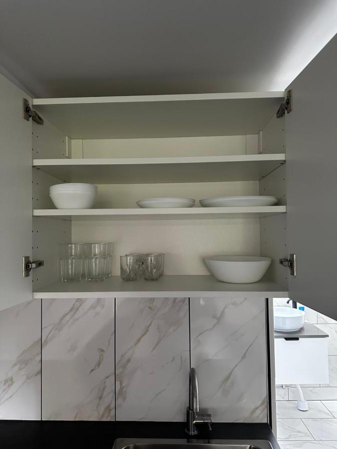 Luxurious Apartment Near Citycenter ボロース エクステリア 写真